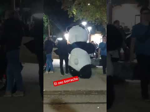 #cordoba #cuarteto #oso