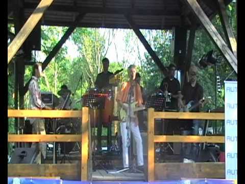 Ulli Bäer & die Austria Pur Band   Alle Lichter