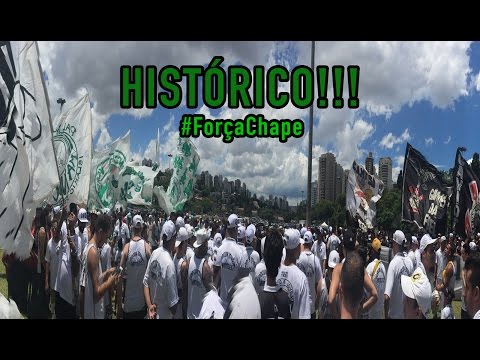 TORCIDAS ORGANIZADAS DE SÃO PAULO SE UNEM E HOMENAGEIAM A CHAPECOENSE - #FORÇACHAPE