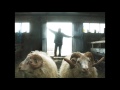 The Mountain Goats - Going to Reykjavik [Live]