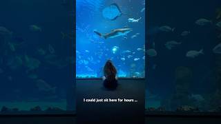 If you are a crew member 🚢 then you can enter this aquarium for free. #canaryislands #cruiseship