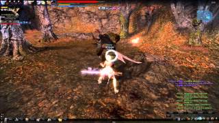 아리샤 칼리두스 노피격 솔플 Ver.2