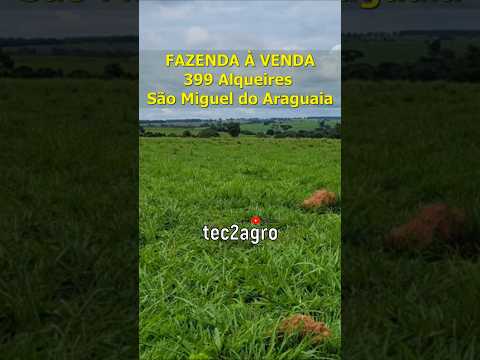 🌱 399 ALQUEIRES SÃO MIGUEL DO ARAGUAIA #fazenda #tec2agro #agro