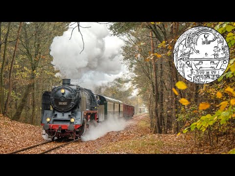 Laatste rit van de VSM 50 307 - Sinterklaas Intocht Eerbeek 2025 | VSM