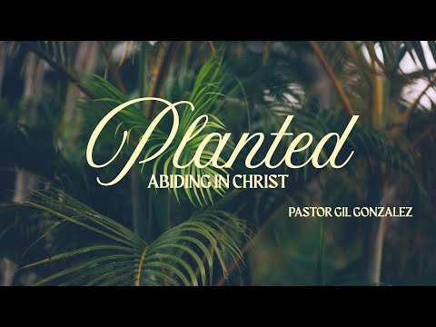 “Planted - Abide In Christ" - Pastor Gil at The Blessed Side Church