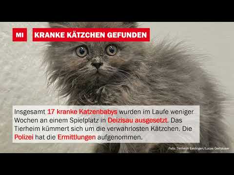 EZ Wochenrückblick 19. bis 23. September 2022