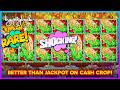 15 Spin HUGE WIN On Cash Crop Slots
