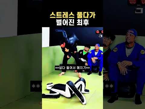 스트레스 풀다가 벌어진 최후