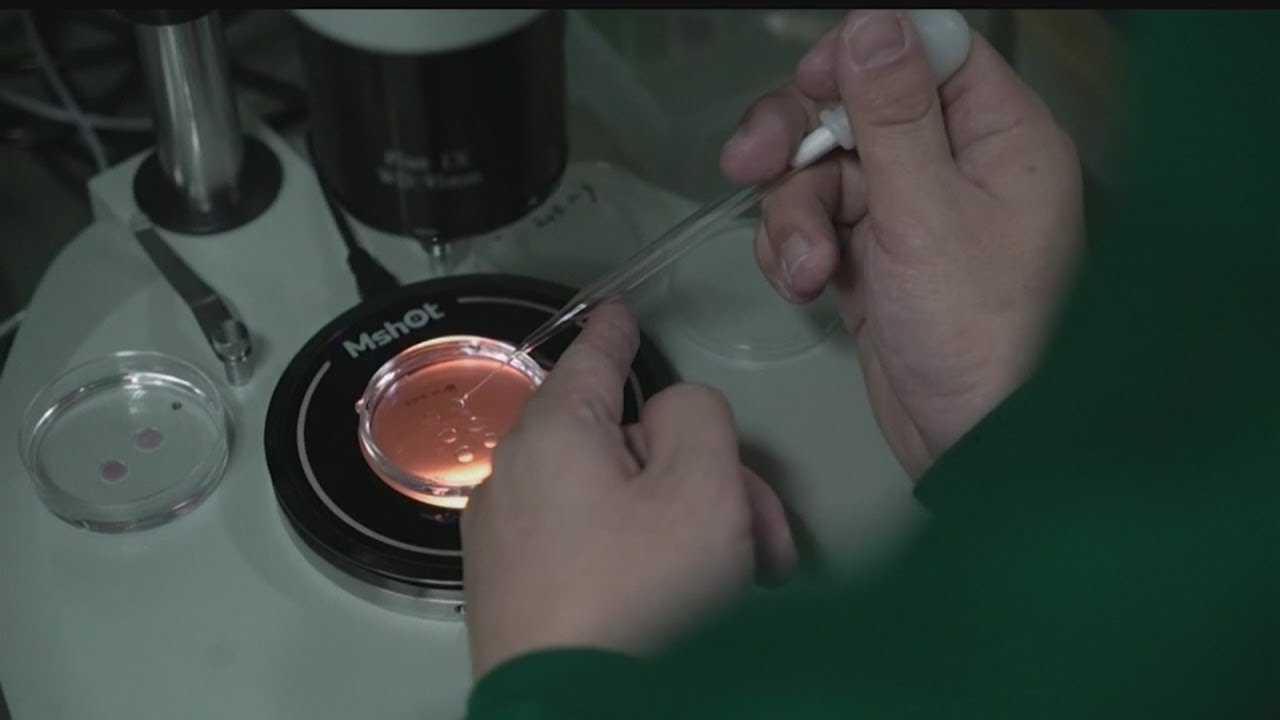 AP Exclusive: First gene-edited babies claimed in China