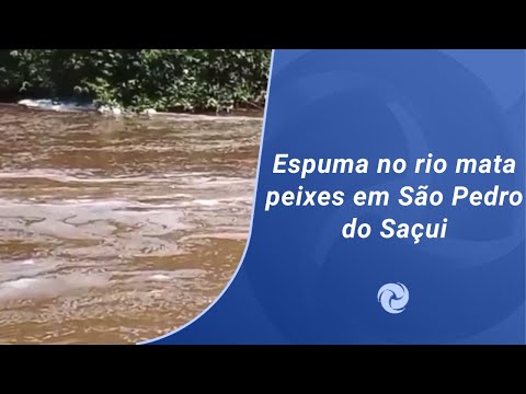 Espuma no rio mata peixes em São Pedro do Suaçuí