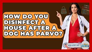 How Do You Disinfect A House After A Dog Has Parvo - Ask A Pet Vet
