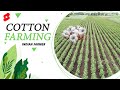 WHITE GOLD का हिसाब Cotton Farming Shorts IndianFarmer Farming