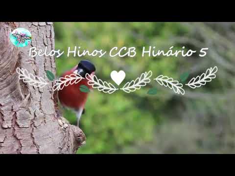 Em Ti Me Alegro, Senhor video