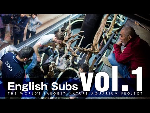 The World’s Largest NA Project: Story - Part 1