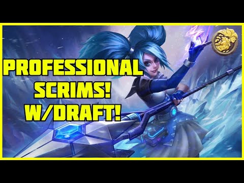PROFESSIONAL DAMAGE PALADINS SCRIM - Pro Evie Gameplay #2