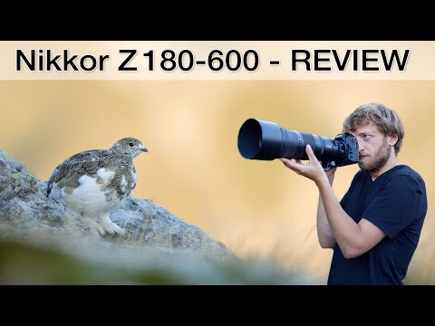 Das perfekte Allround-Zoom für Tierfotografen? Nikon Z180-600mm Review