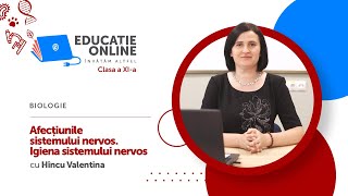 Afecțiunile sistemului nervos. Igiena sistemului nervos