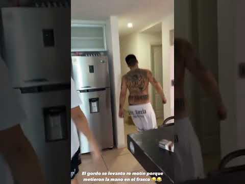 THE BEAR GOT ANGRY #mds #twitchclips #diy #dailyvlog #youtubeshorts #shorts