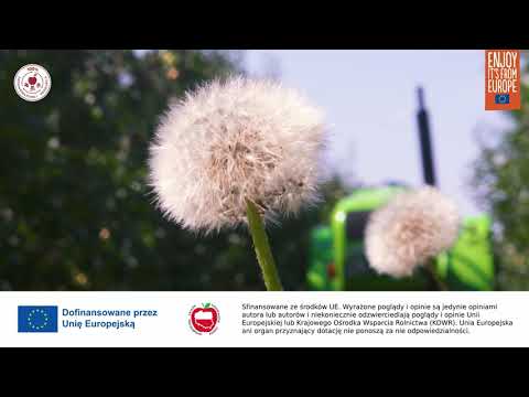 Rolnictwo ekologiczne – dlaczego warto?