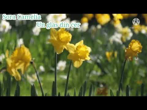 Sora Camelia - Un glas din cer, poezie 2023