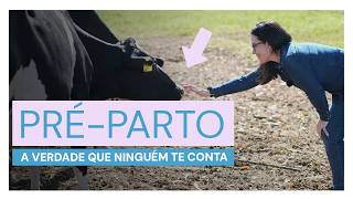 Miniatura do vídeo