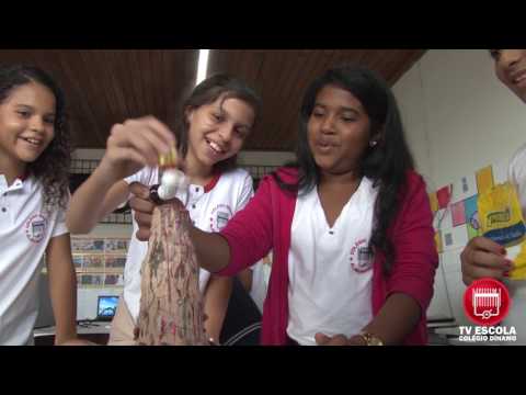 AULA DE INFORMATICA COM A PROFESSORA  ROSANA BARBOSA