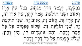מסכת פרה פרק ג משנה י