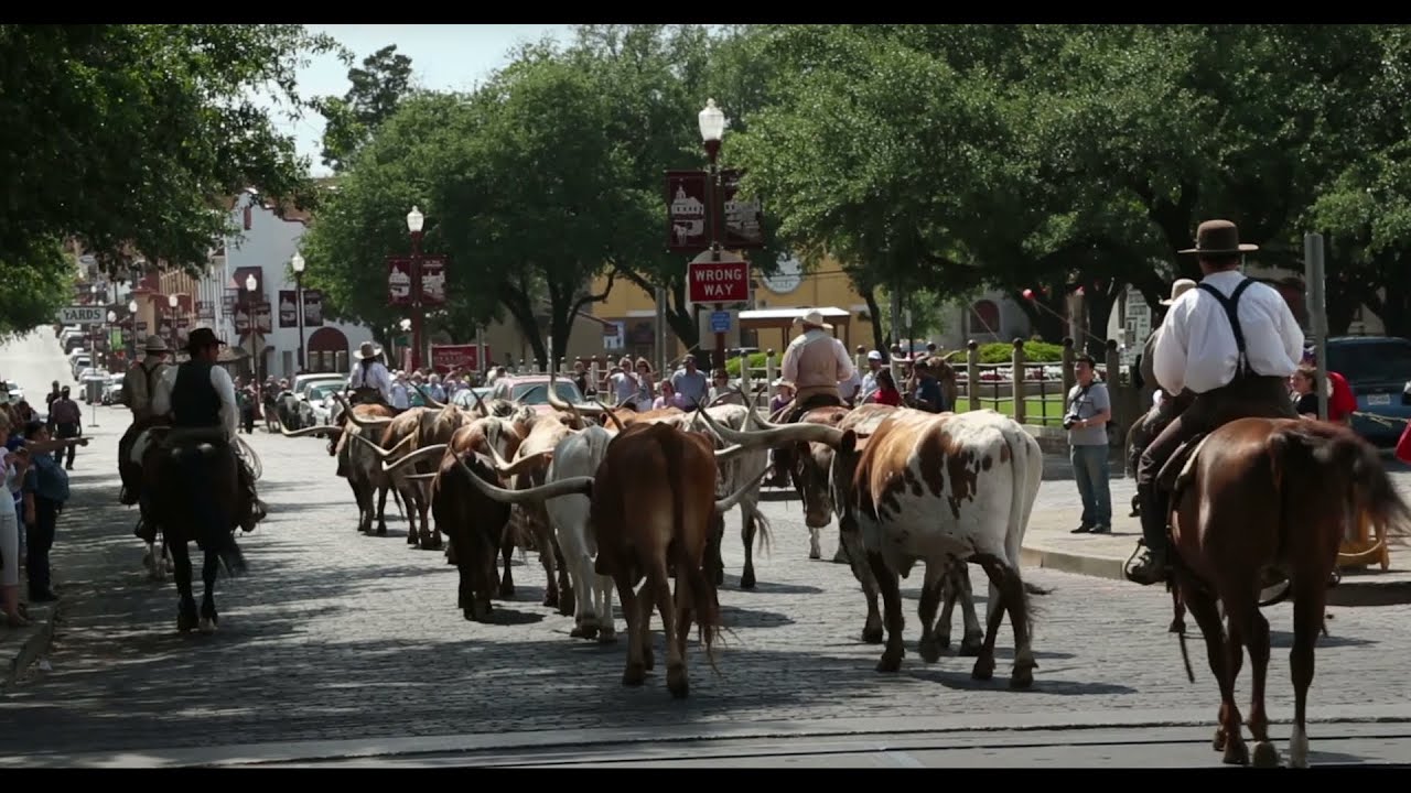 Fort Worth utilizes transit advertising in it's most populated areas