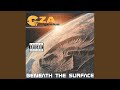 Amplified Sample 