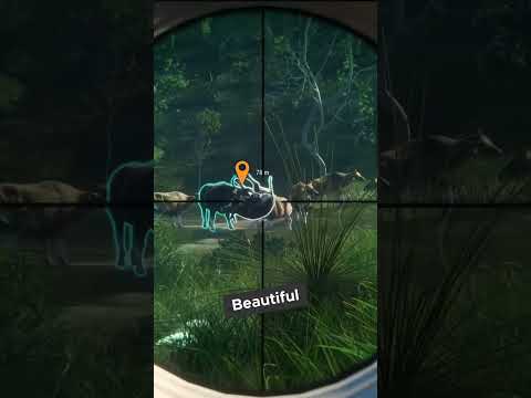 Hunt THESE to Find EASY DIAMONDS!!! 😳😳😳- Call of the Wild #shorts