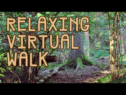 Relaxing walk in Mölndal forest | Virtual Walking | Nature ambiance | Wind | ASMR (No talking)