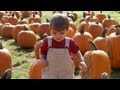 Pumpkins-Halloween Overview | Cullen’s Abc’s