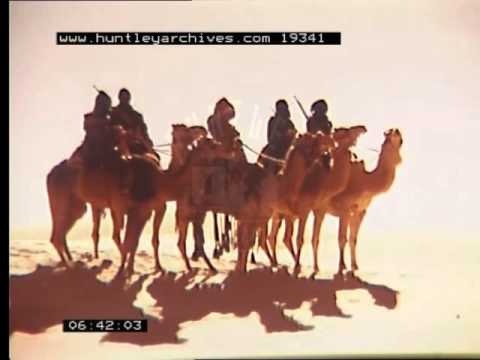 Camel Train in Desert, 1970's - Film 19341