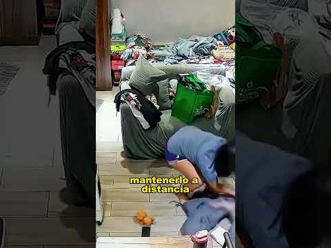 Her Cat Suddenly Turned on Her. #animals #fyp #Friendship #Us