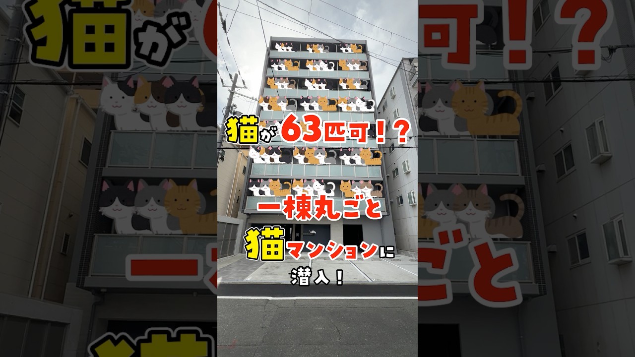 【猫専用の診察室がある賃貸物件】猫ファーストの一棟丸ごと猫マンションがヤバすぎる #ねこ #ねこ物件 #ルームツアー