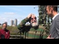 Dan Graham Garden on the roof of the Met Museum ...