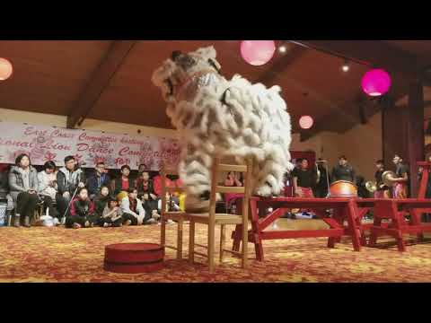download lagu mp3 mp4 Boston Dance Competition 2017, download lagu Boston Dance Competition 2017 gratis, unduh video klip Boston Dance Competition 2017