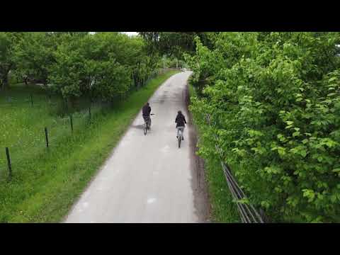 Dorna Bike - Traseu MTB Saru Dornei - Tinovul Mic - Neagra Sarului