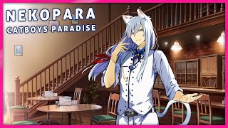 NEKOPARA - Catboys Paradise Gameplay (Visual Novel)