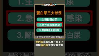 泡泡尿小心洗腎一輩子？關鍵蛋白尿竟是腎臟受損