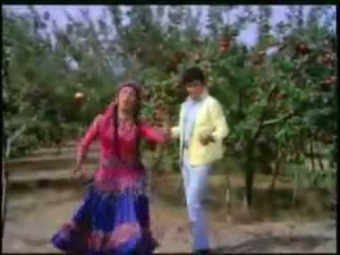 O floare si doi gradinari 