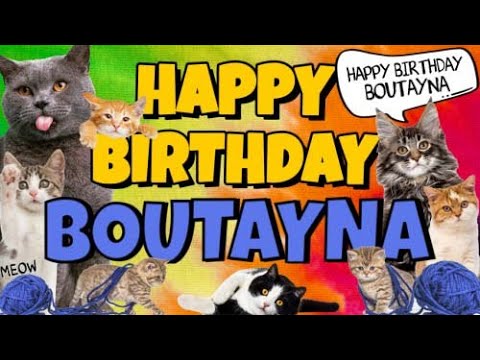 Happy Birthday Boutayna! Crazy Cats Say Happy Birthday Boutayna (Very Funny)