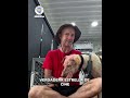 Perros, Gatos y más animales domésticos 1 Video thumbnail