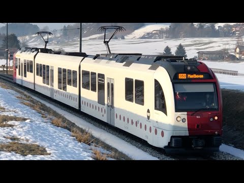 [FR/DE] Trafic ferroviaire/Bahnverkehr tpf (Voie métrique RER 50+60 / Meterspur S-Bahn 50+60) - TPS