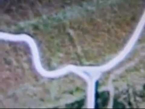 blawhorn moss wooden walkway