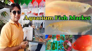 শেষ ভিডিও শ্রীরামপুর রঙিন মাছের হাটের এই সপ্তাহের | Aquarium Fish Price | Serampore Fish Pet Market