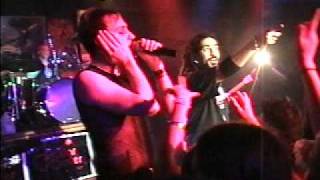 Darwin's Waiting Room - Spent.