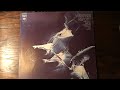 WEATHER REPORT -"Umbrellas"   JAZZ/FUSION   ジャズ/フュージョン(vinyl record)