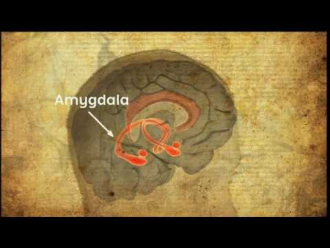 Cutting Edge Intermediate | Unit 2 | World Culture: Flashbulb memories