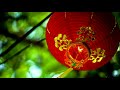 Beautiful Chinese Music Chinese New Year Instrumental Traditional Chinese Music